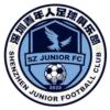  深圳青年人