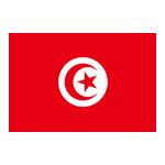  突尼斯